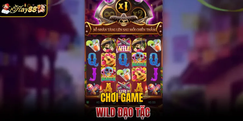 Chơi game Wild đạo tặc