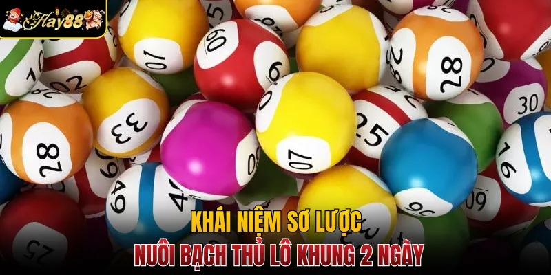 Khái niệm sơ lược nuôi bạch thủ lô khung 2 ngày