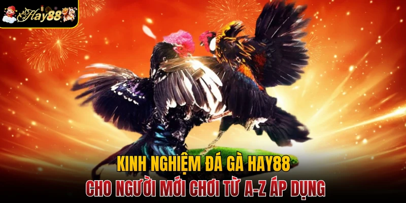 Kinh Nghiệm Đá Gà Hay88 Cho Người Mới Chơi Từ A-Z Áp Dụng