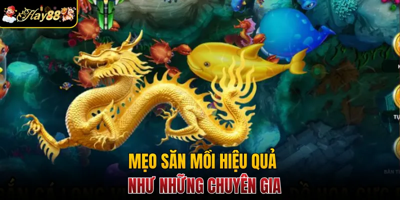 Mẹo săn mồi hiệu quả như những chuyên gia