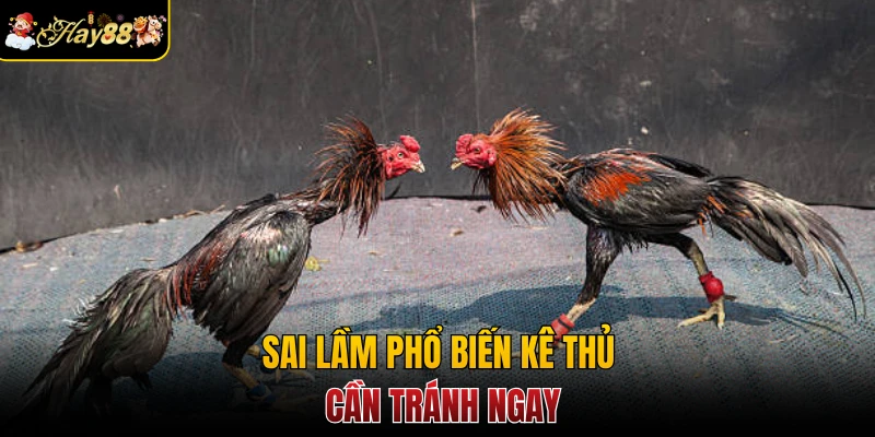 Sai lầm phổ biến kê thủ cần tránh ngay