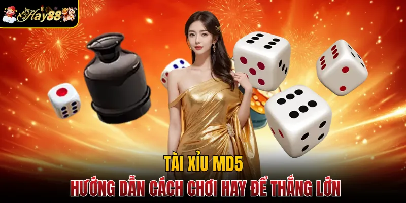 Tài Xỉu Md5 - Hướng Dẫn Cách Chơi Hay Để Thắng Lớn